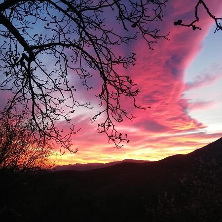 Casa Corasol, A Cozy, Comfy, 2Br House- Panoramic View And Rooftop Canar Esterno foto
