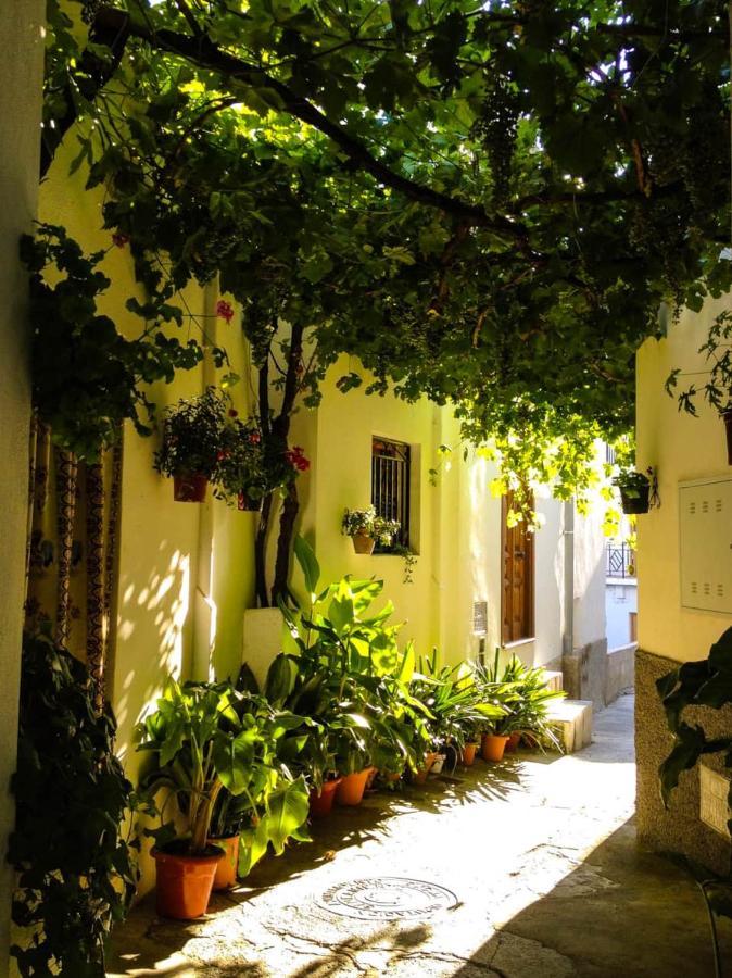 Casa Corasol, A Cozy, Comfy, 2Br House- Panoramic View And Rooftop Canar Esterno foto