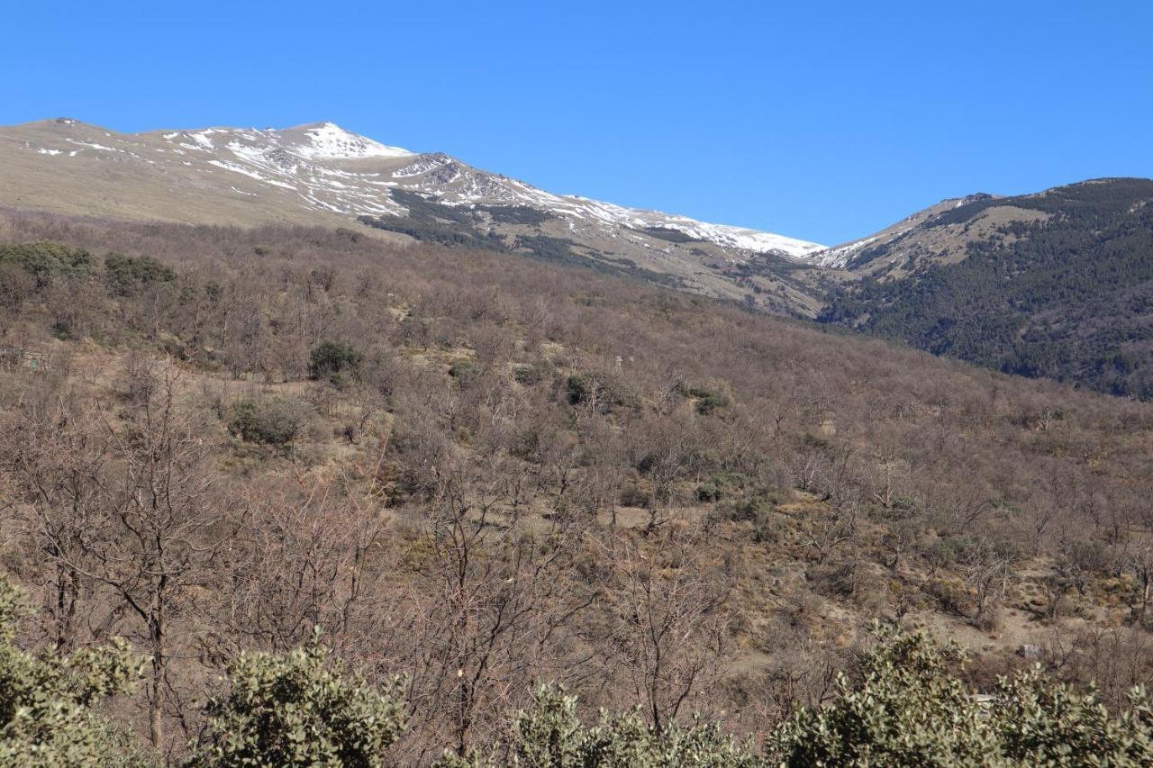 Casa Corasol, A Cozy, Comfy, 2Br House- Panoramic View And Rooftop Canar Esterno foto